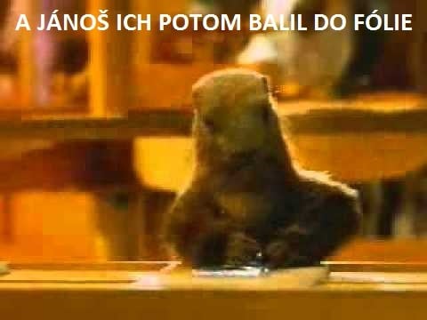 Janos v reklame